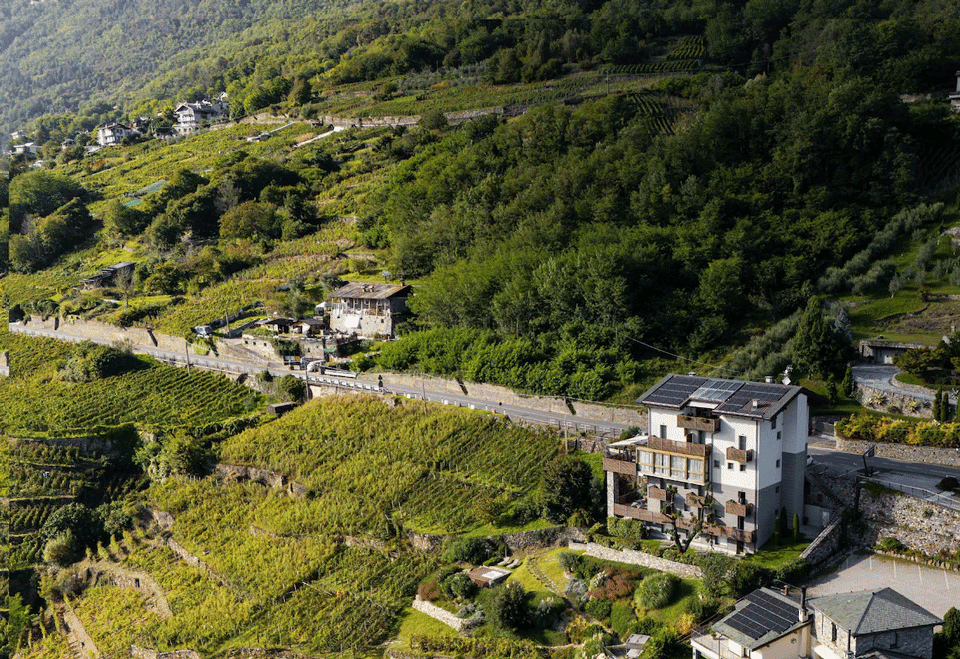 Wine-Hotel-Retici-Balzi
