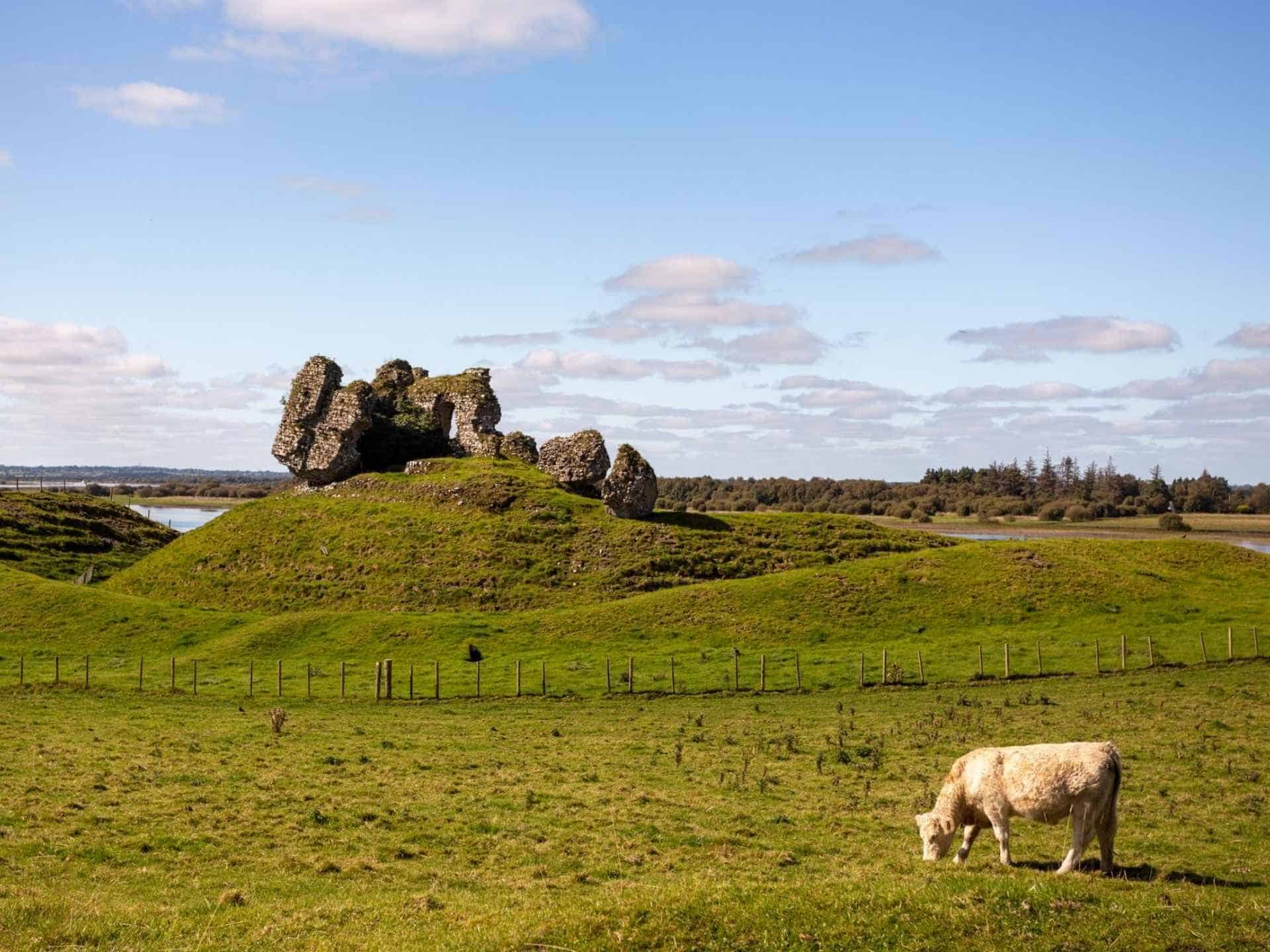 galloway scotland